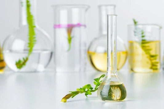 🌿 Glosario de Ingredientes Biobásica y los beneficios en tu piel 💫